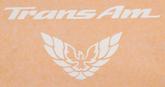 1999-2002 Trans AM 30th Anniversary White "Trans Am" with Bird Rear Panel Stencil