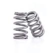 1978-87 Buick, Olds, Pontiac V6; Beehive Valve Springs: Top 1.075" O.D., .650" I.D.; Bottom 1.310" O.D., .885" I.D.; for 231-3.8L Turbo