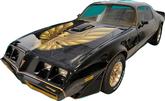 1981 Trans-Am Special Edition Bandit 2 Color Light Gold/ Dark Gold Decal Set with Pre-Molded Stripes